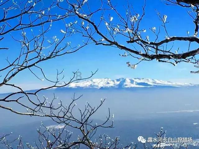 难怪手机wifi经常会断网掉线，原来是手机里的这个按钮没打开