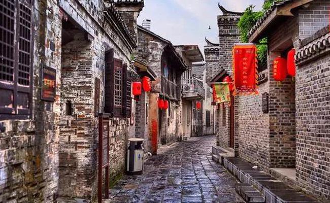 饥饿的松鼠救援